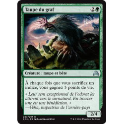 Taupe du graf / Graf Mole