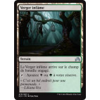 Verger infâme / Foul Orchard