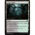 Verger infâme / Foul Orchard