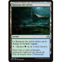 Ruisseau des sylves / Woodland Stream