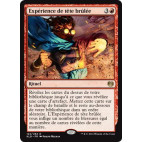 Expérience de tête brûlée / Madcap Experiment