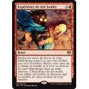 Expérience de tête brûlée / Madcap Experiment