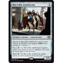 Merveille multiforme / Multiform Wonder
