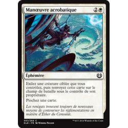 Manoeuvre acrobatique / Acrobatic Maneuver