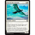 Faucon des courants / Eddytrail Hawk