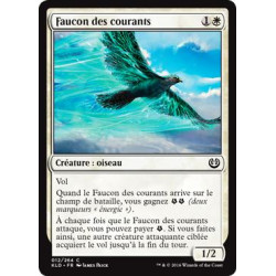 Faucon des courants / Eddytrail Hawk