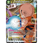 TB2-053 C Krillin aguerri