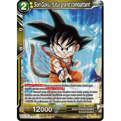 TB2-052 C Son Goku, futur grand combattant