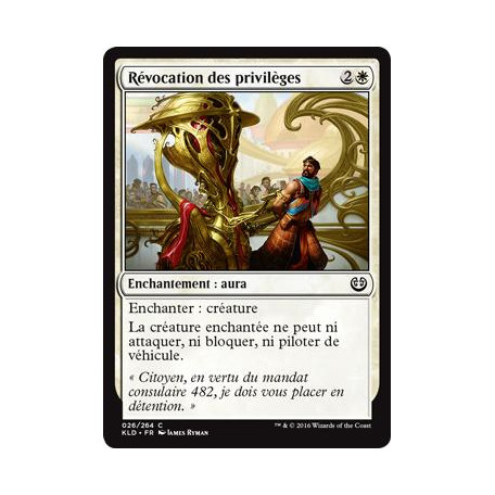 Révocation des privilèges / Revoke Privileges
