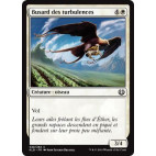 Busard des turbulences / Skyswirl Harrier