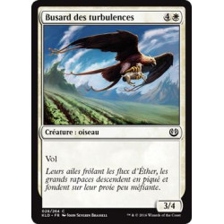 Busard des turbulences / Skyswirl Harrier