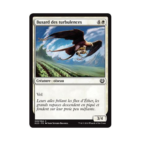 Busard des turbulences / Skyswirl Harrier