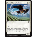 Busard des turbulences / Skyswirl Harrier