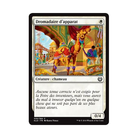 Dromadaire d'apparat / Tasseled Dromedary
