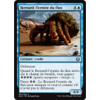 Bernard-l'ermite du flux / Hightide Hermit
