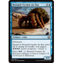 Bernard-l'ermite du flux / Hightide Hermit