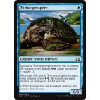 Tortue prospère / Thriving Turtle