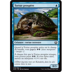 Tortue prospère / Thriving Turtle