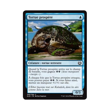 Tortue prospère / Thriving Turtle