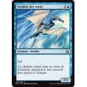 Drakôn des vents / Wind Drake