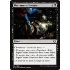 Découverte fortuite / Fortuitous Find