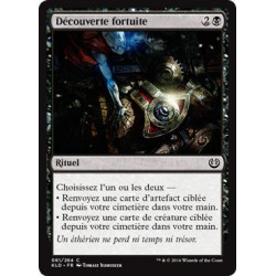 Découverte fortuite / Fortuitous Find