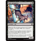 Rats prospères / Thriving Rats