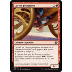 Larves prospères / Thriving Grubs