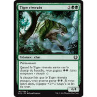 Tigre riverain / Riparian Tiger