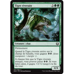 Tigre riverain / Riparian Tiger