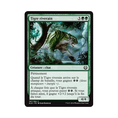 Tigre riverain / Riparian Tiger