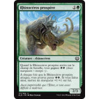 Rhinocéros prospère / Thriving Rhino