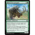 Rhinocéros prospère / Thriving Rhino