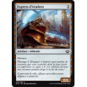 Express d'Aradara / Aradara Express