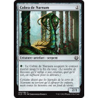 Cobra de Narnam / Narnam Cobra
