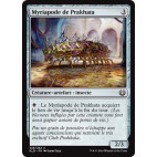 Myriapode de Prakhata / Prakhata Pillar-Bug