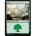 Forêt / Forest n°264