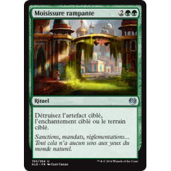 Moisissure rampante / Creeping Mold