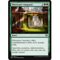 Moisissure rampante / Creeping Mold