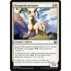 Bouquetin prospère / Thriving Ibex
