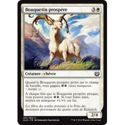 Bouquetin prospère / Thriving Ibex