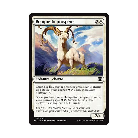 Bouquetin prospère / Thriving Ibex