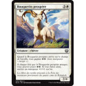 Bouquetin prospère / Thriving Ibex - Foil