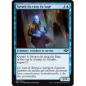 Savant du rang du Sage / Sage's Row Savant
