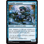 Anguille rampante / Skitter Eel