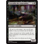 Crocodile des catacombes / Catacomb Crocodile