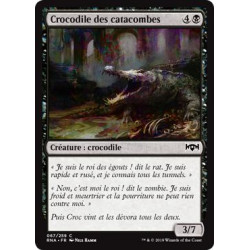 Crocodile des catacombes / Catacomb Crocodile