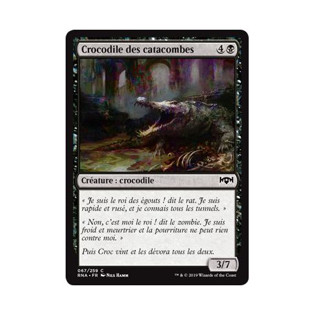Crocodile des catacombes / Catacomb Crocodile