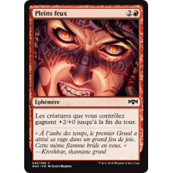 Pleins feux / Burn Bright