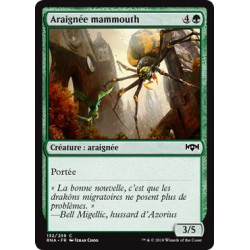 Araignée mammouth / Mammoth Spider